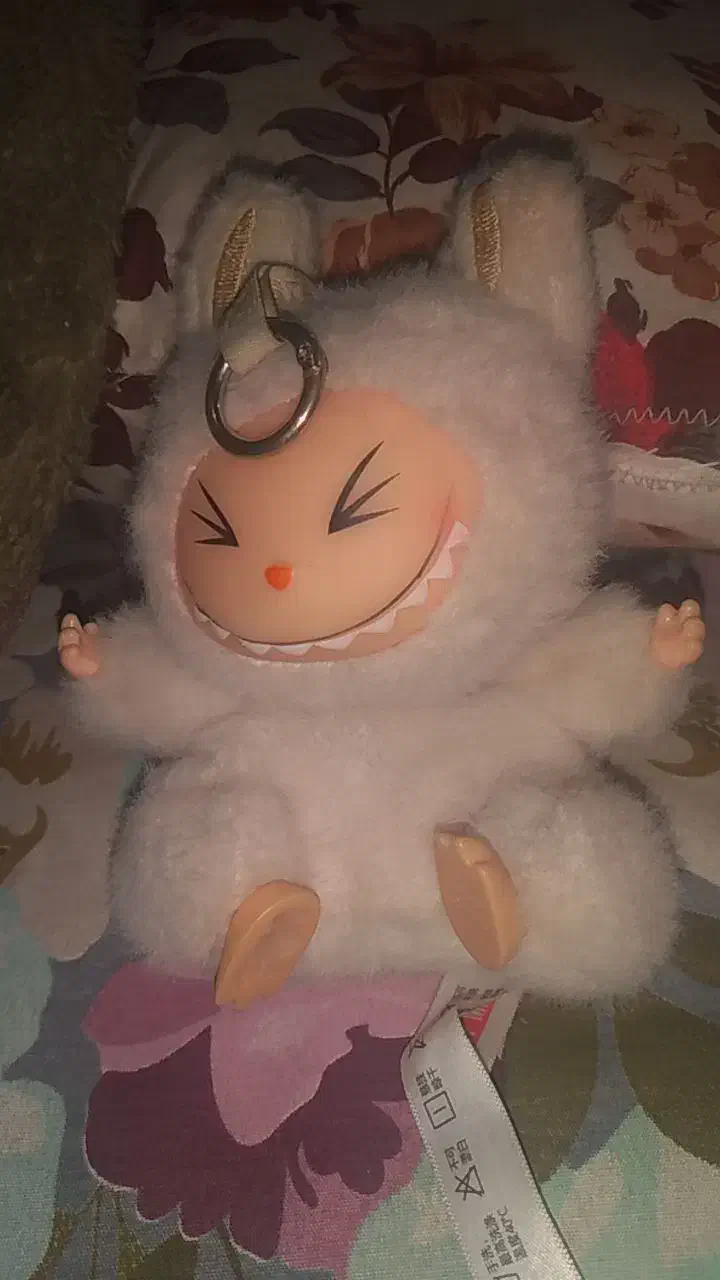 لبوبو|اسباببازی|طبس, |دیوار