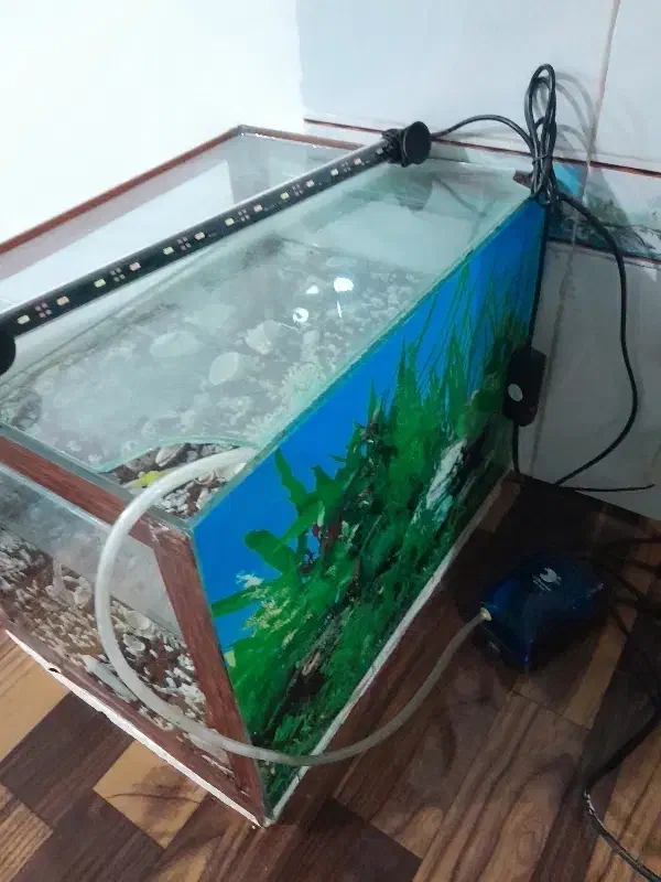 آکواریوم با لوازم|ماهی|نجفآباد, یزدانشهر|دیوار