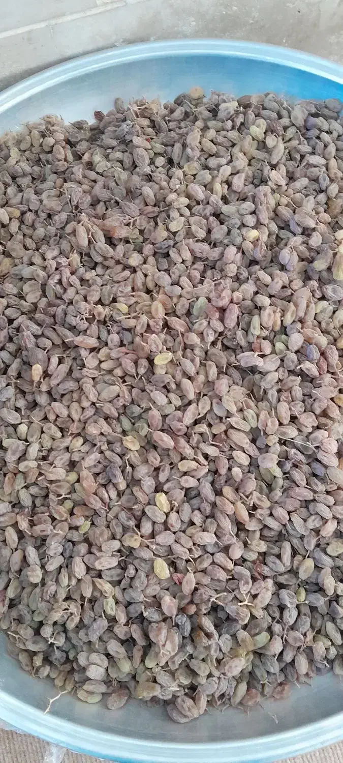 کشمش|خوردنی و آشامیدنی|صائین قلعه, |دیوار