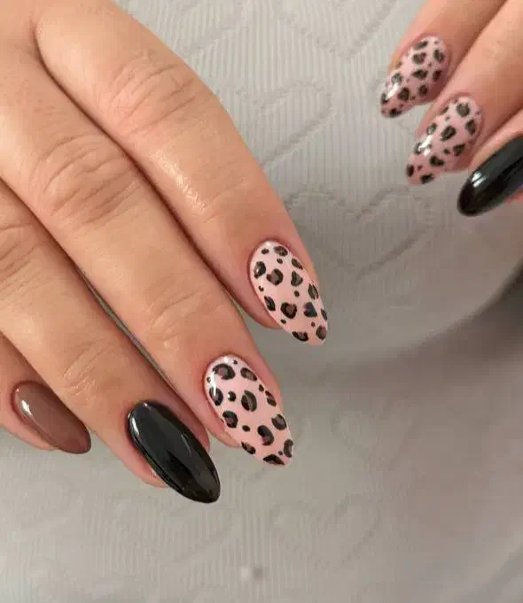 تخفیف ترمیم و کاشت و لمینت و کفسابی و کاور|خدمات آرایشگری و زیبایی|محمدیه-قزوین, |دیوار