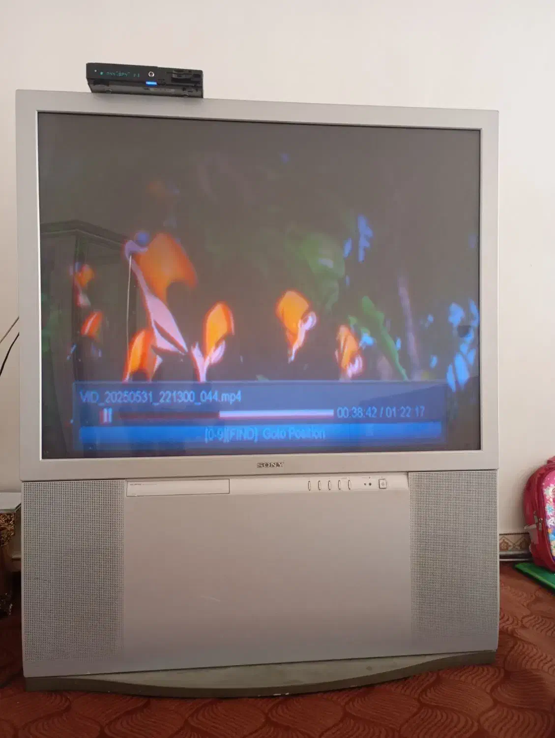 تلویزیون|تلویزیون و پروژکتور|میاندوآب, |دیوار