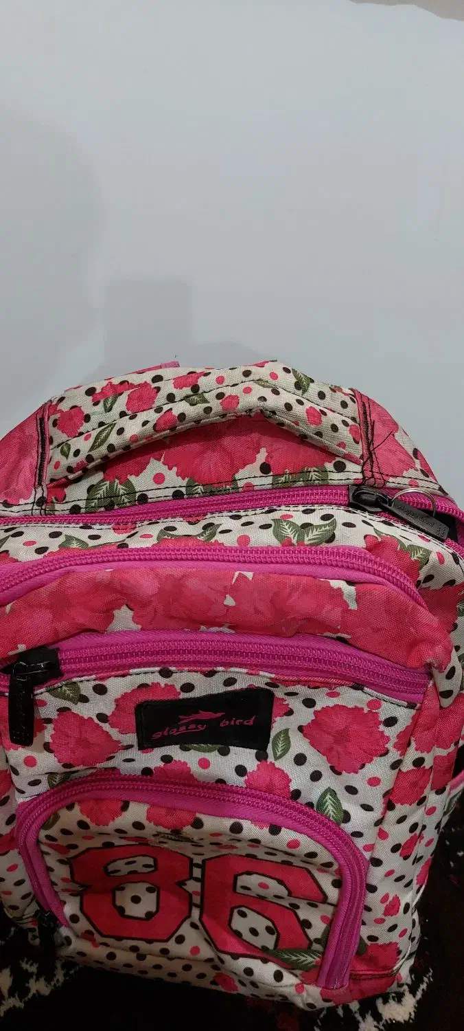 کوله پشتی مدرسه ای|کیف، کفش، کمربند|گنبد کاووس, |دیوار