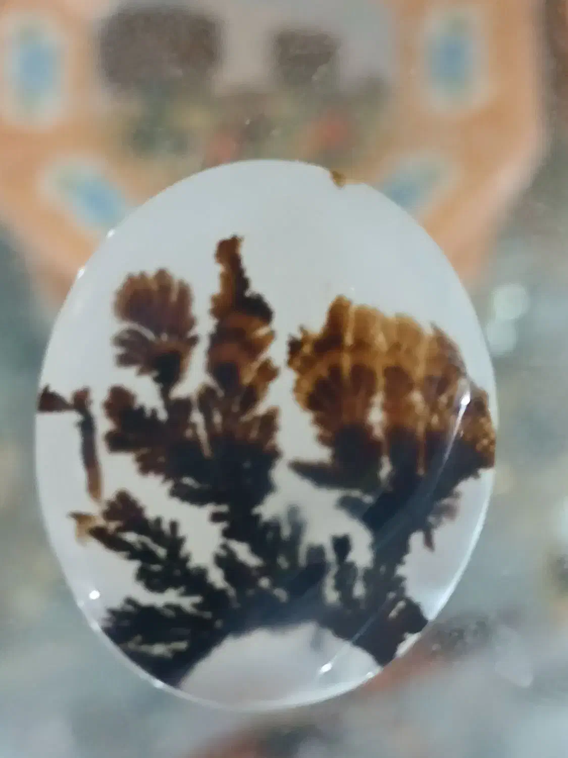 شجر قائن اصل با منظره ای واضح|جواهرات|مشگین شهر, |دیوار