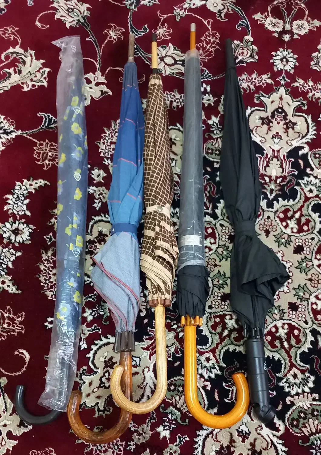 چتر های مردانه و زنانه خارجی|کوهنوردی و کمپینگ|ری, دیلمان|دیوار