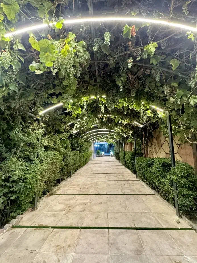 مژدگانی.مژدگانی ۵ عدد شناسنامه گم شده.|اشیا|تربت جام, کلالی|دیوار