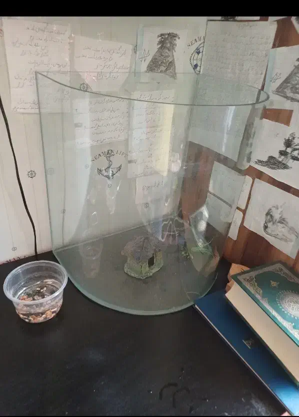 آکواریوم|ماهی|رشت, چمارسرا|دیوار