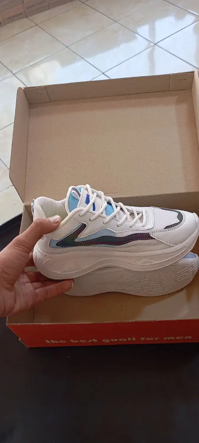 کیف کفش|کیف، کفش، کمربند|سمنان, |دیوار