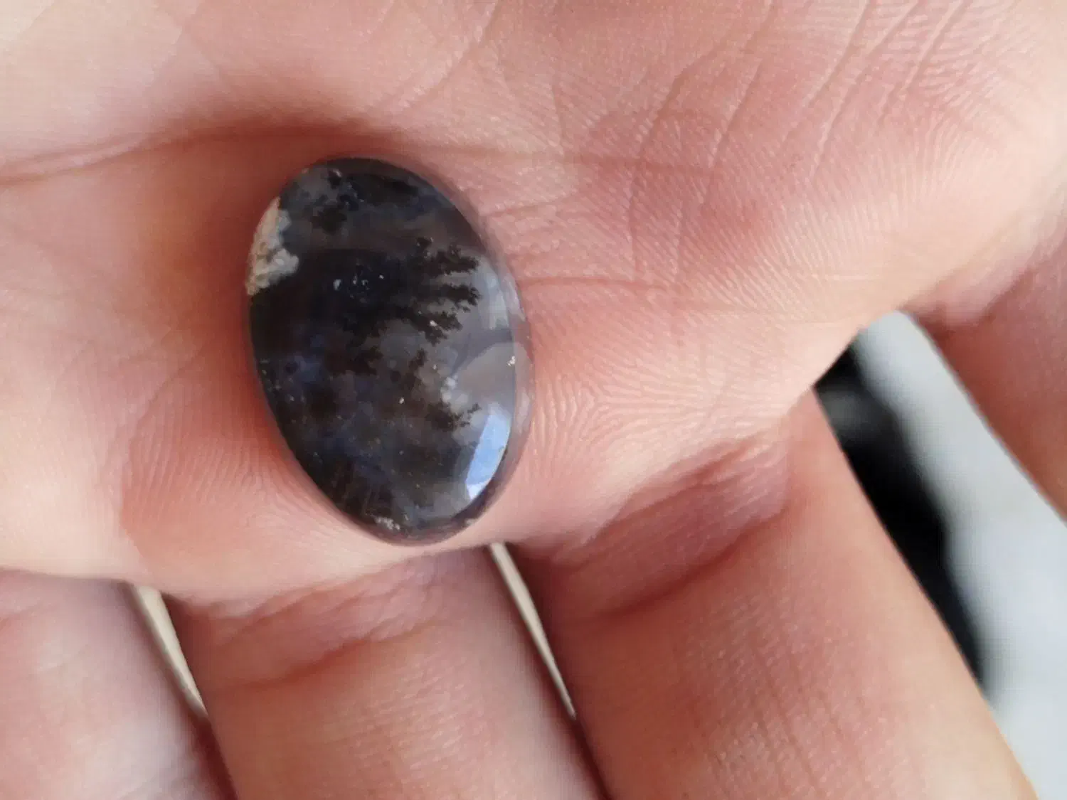 شجر سیاه خراسان|زیورآلات و اکسسوری|یزد, |دیوار