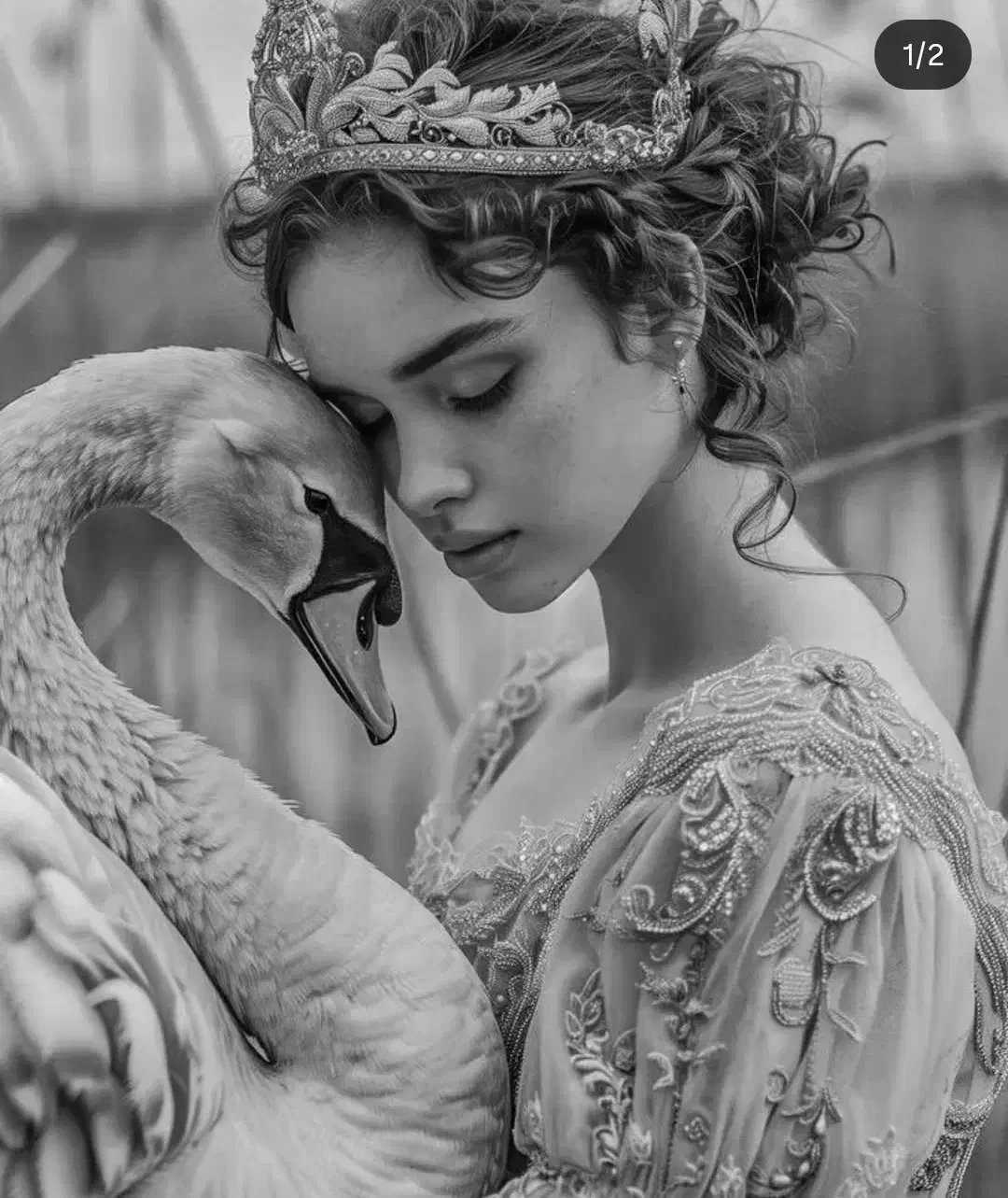 سفارش سیاه قلم|تابلو، نقاشی، عکس|سبزوار, ولیعصر (نجار آباد)|دیوار