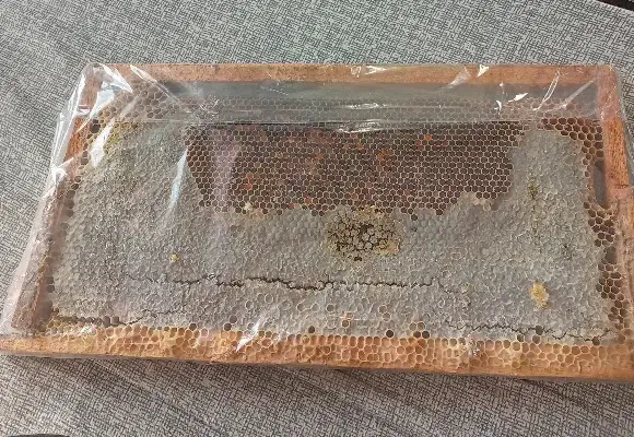 عسل + موم ( طبیعی )|خوردنی و آشامیدنی|حمیدیا, |دیوار