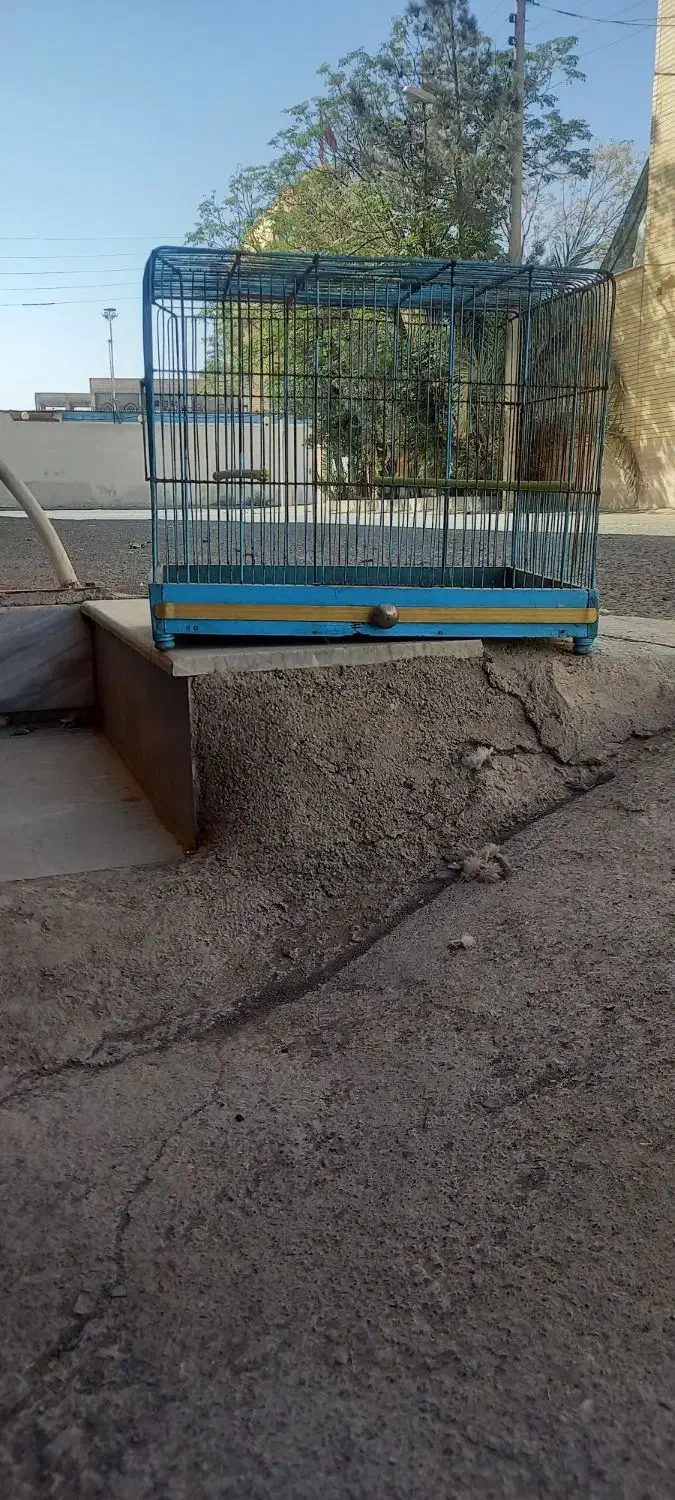 قفس پرنده کار  دست قمی بافت|لوازم جانبی حیوانات|آران و بیدگل, |دیوار