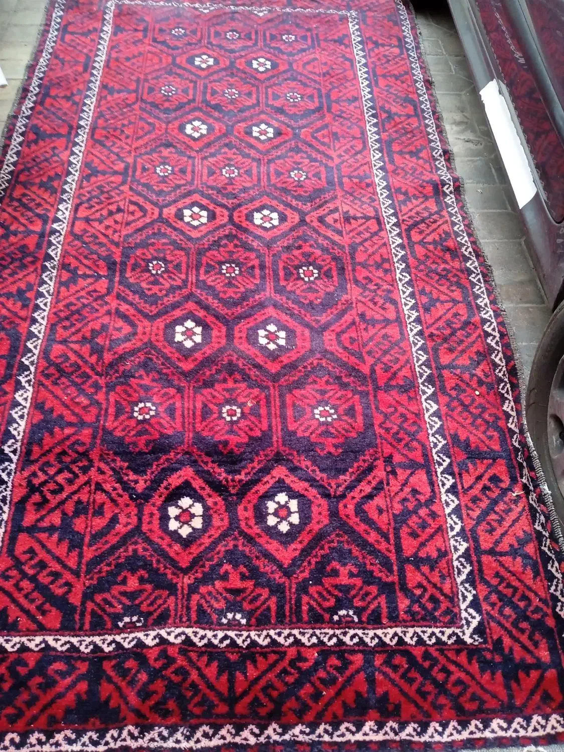 قالیچه دستباف بزرگ|فرش|تربت‌حیدریه, مظفریه|دیوار