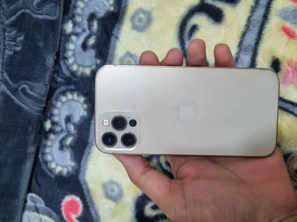 ایفون۱۲پرو|موبایل|چابهار, |دیوار