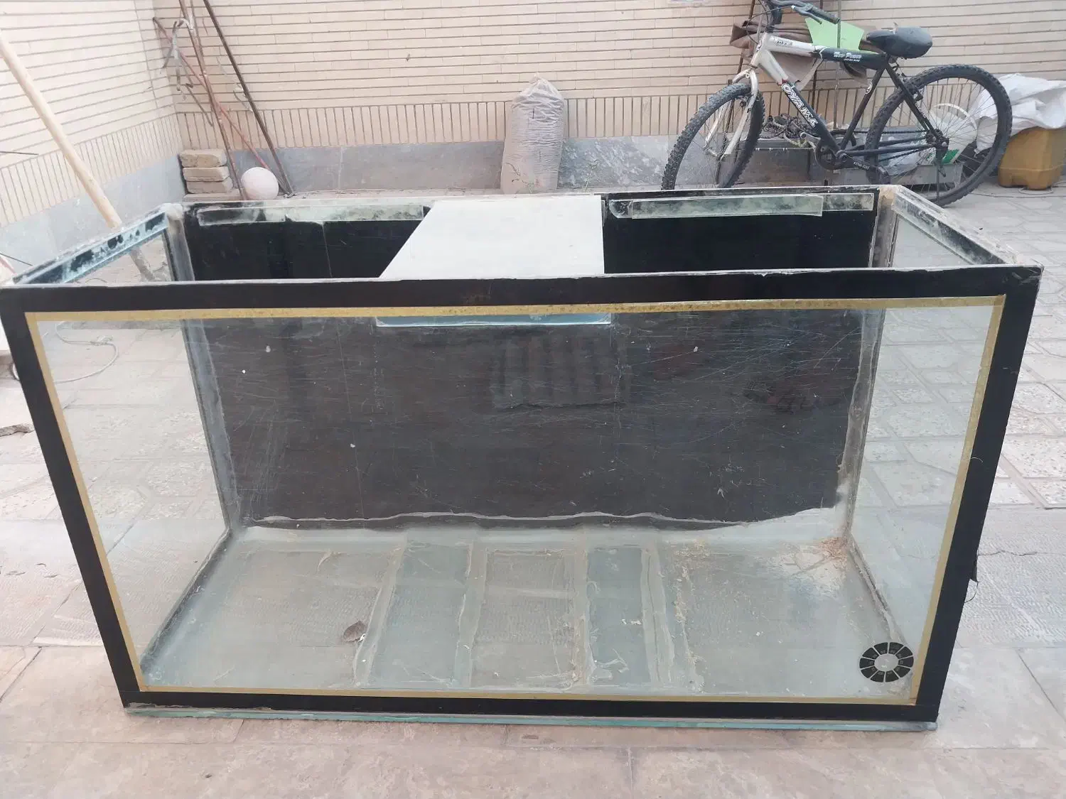 آکواریم|ماهی|شاهینشهر, شهرک گلدیس|دیوار