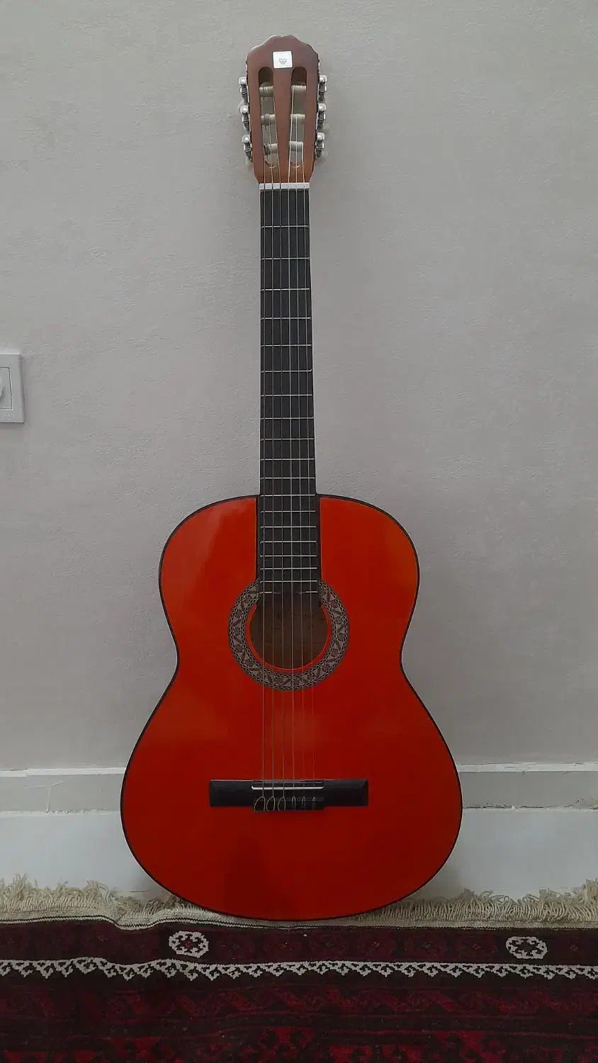 گیتار نو نو|گیتار، بیس، امپلیفایر|مشهد, مقدم|دیوار