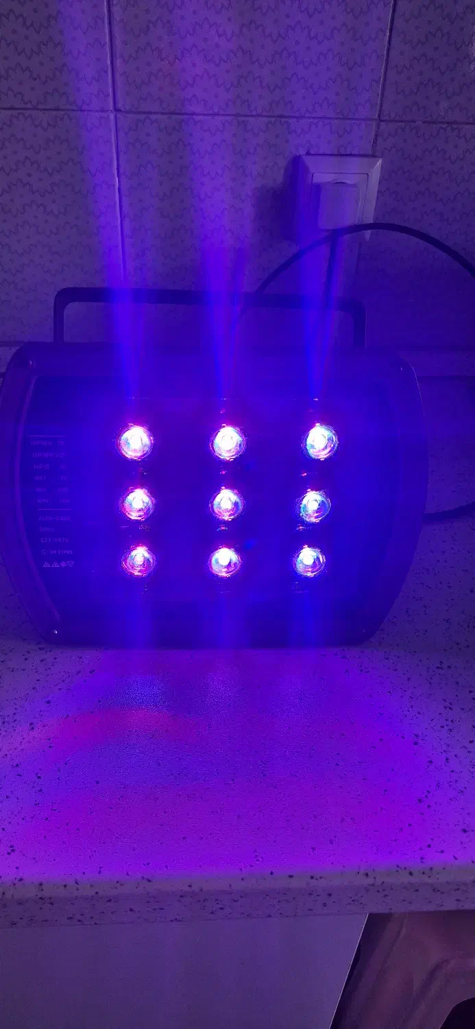 پروژکتور RGB|تلویزیون و پروژکتور|تهران, سید خندان (جلفا)|دیوار