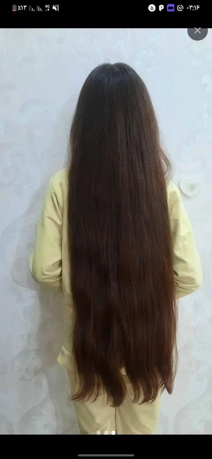 کت مو|موکت|شوشتر, |دیوار