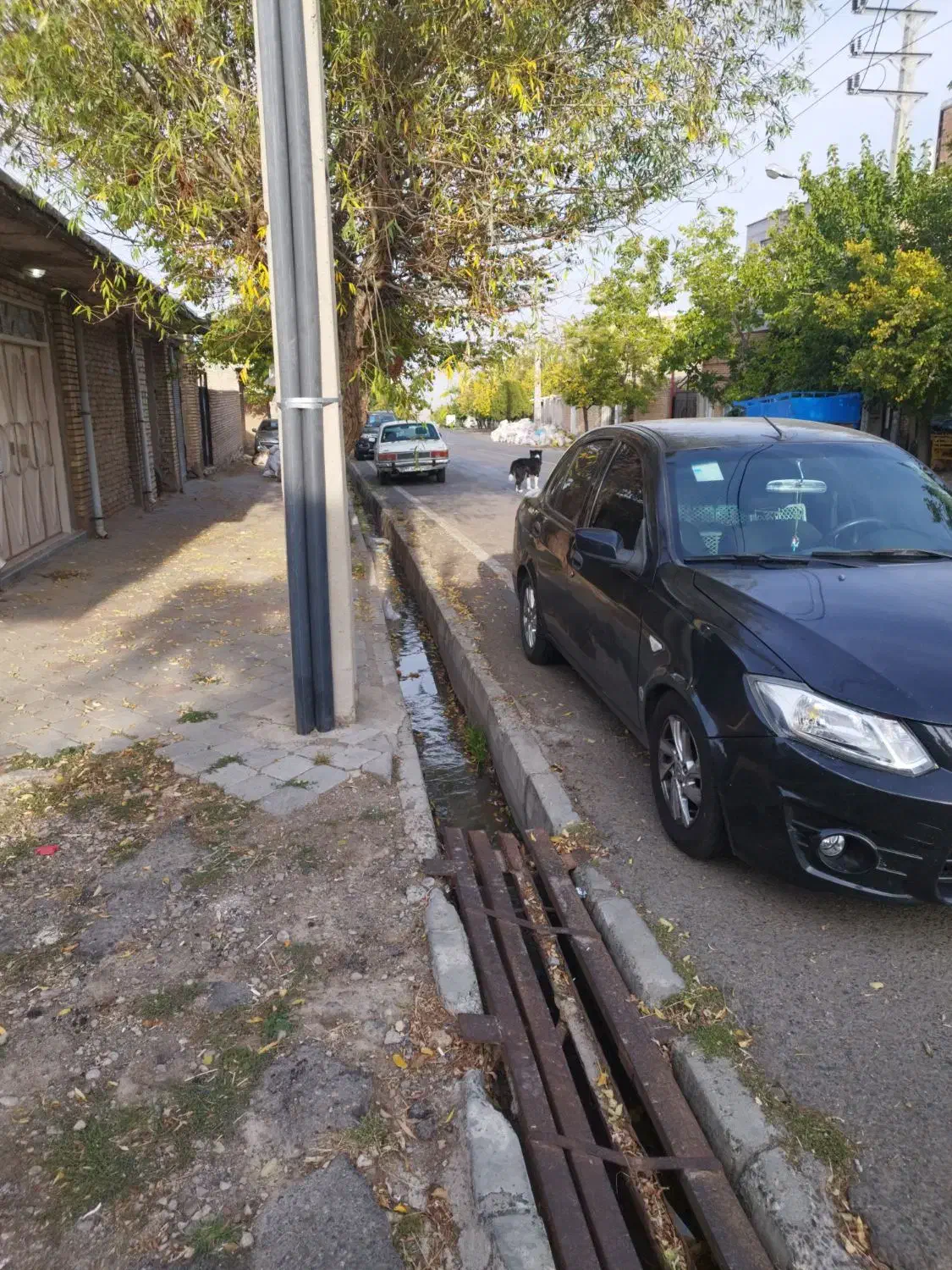 ساینا|خودرو سواری و وانت|مرند, |دیوار