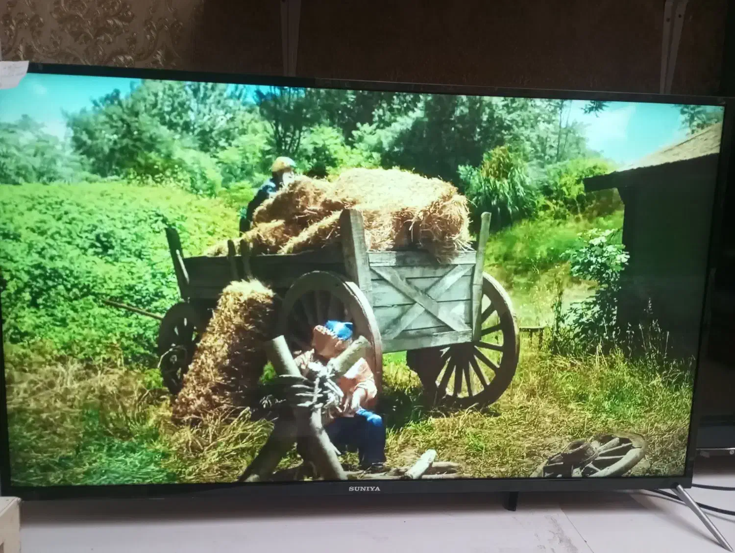 ال ای دی 49اینچ|تلویزیون و پروژکتور|تبریز, |دیوار