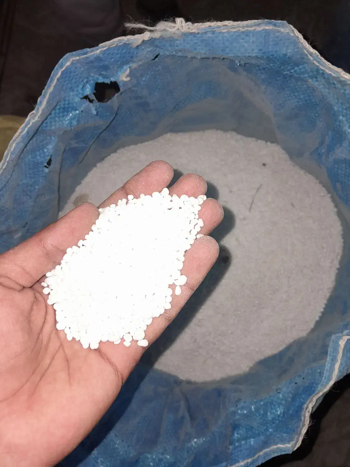 تعداد محدود کود زهک|گل و گیاه طبیعی|زهک, |دیوار