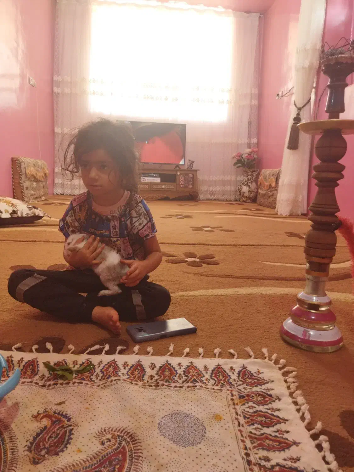 دو عدد گلیم فرش در حد|فرش|سیسخت, |دیوار