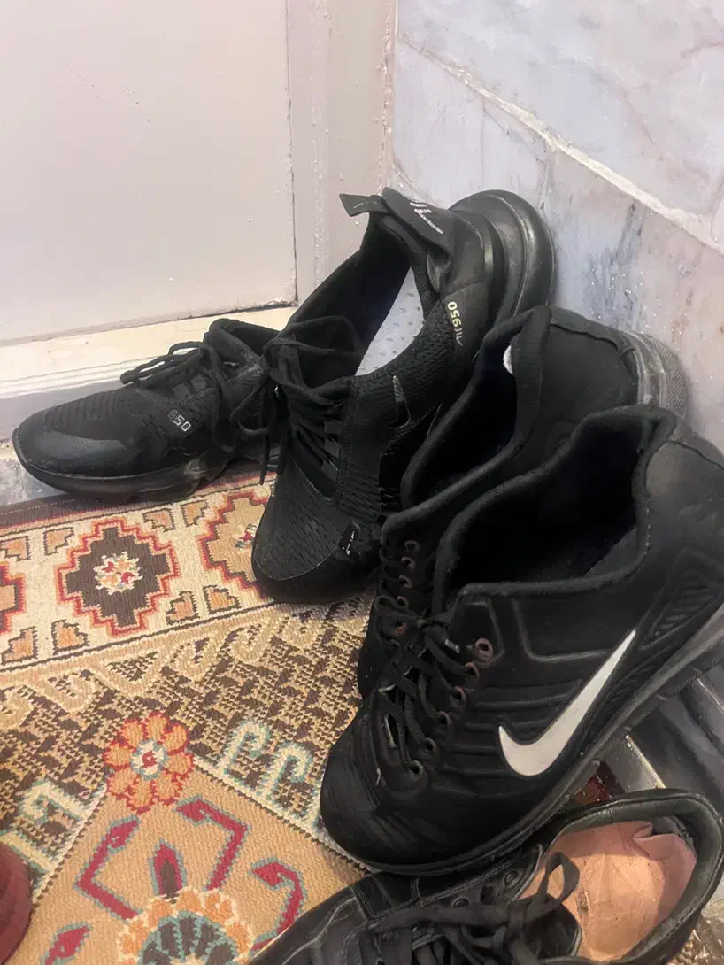 کیف و کفش|کیف، کفش، کمربند|گرگان, |دیوار