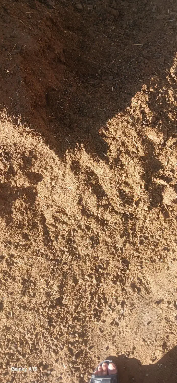 فروش کود حیوانی|خدمات باغبانی و درختکاری|خرمآباد, |دیوار