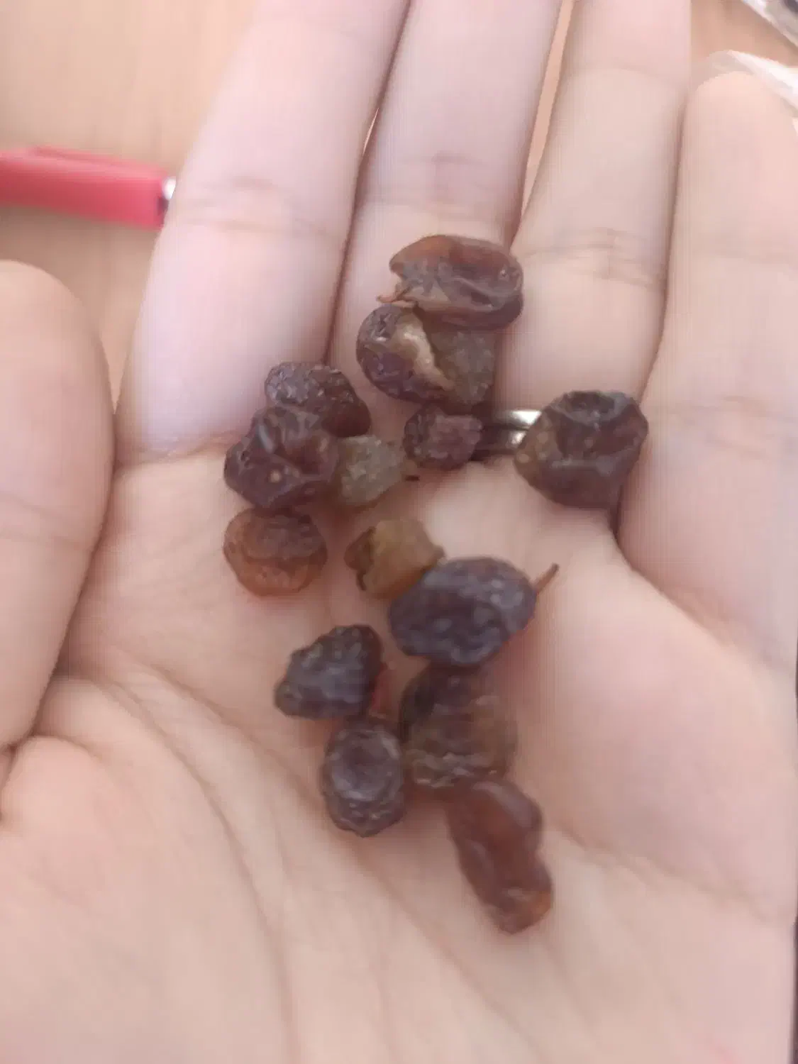 کشمش پلویی|خوردنی و آشامیدنی|شیروان (خراسان), |دیوار