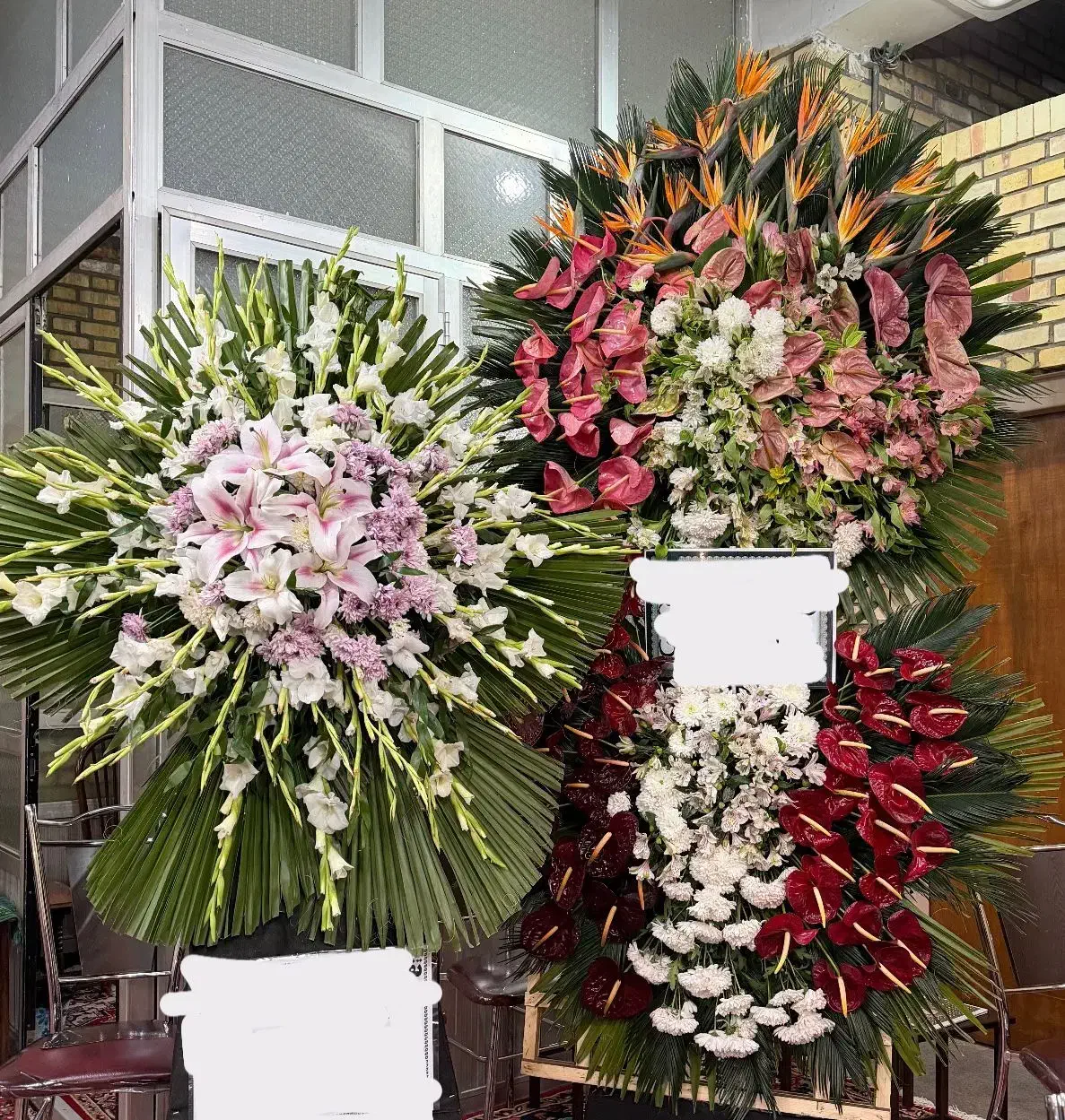 دو عدد تاج گل|گل و گیاه طبیعی|تبریز, |دیوار