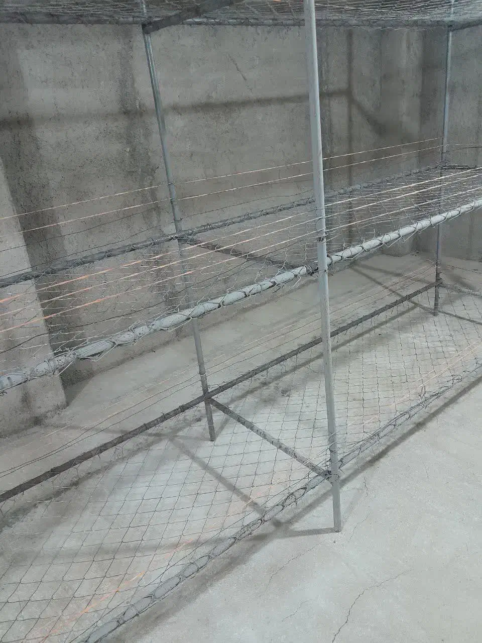 فروش قفسه قارچ در حد نو|فروشگاه و مغازه|شیرگاه, |دیوار