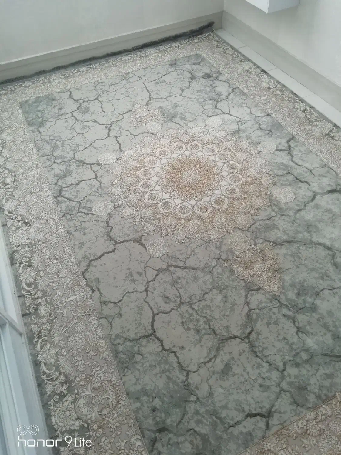 فرش 9 و 6|فرش|ری, شهادت|دیوار