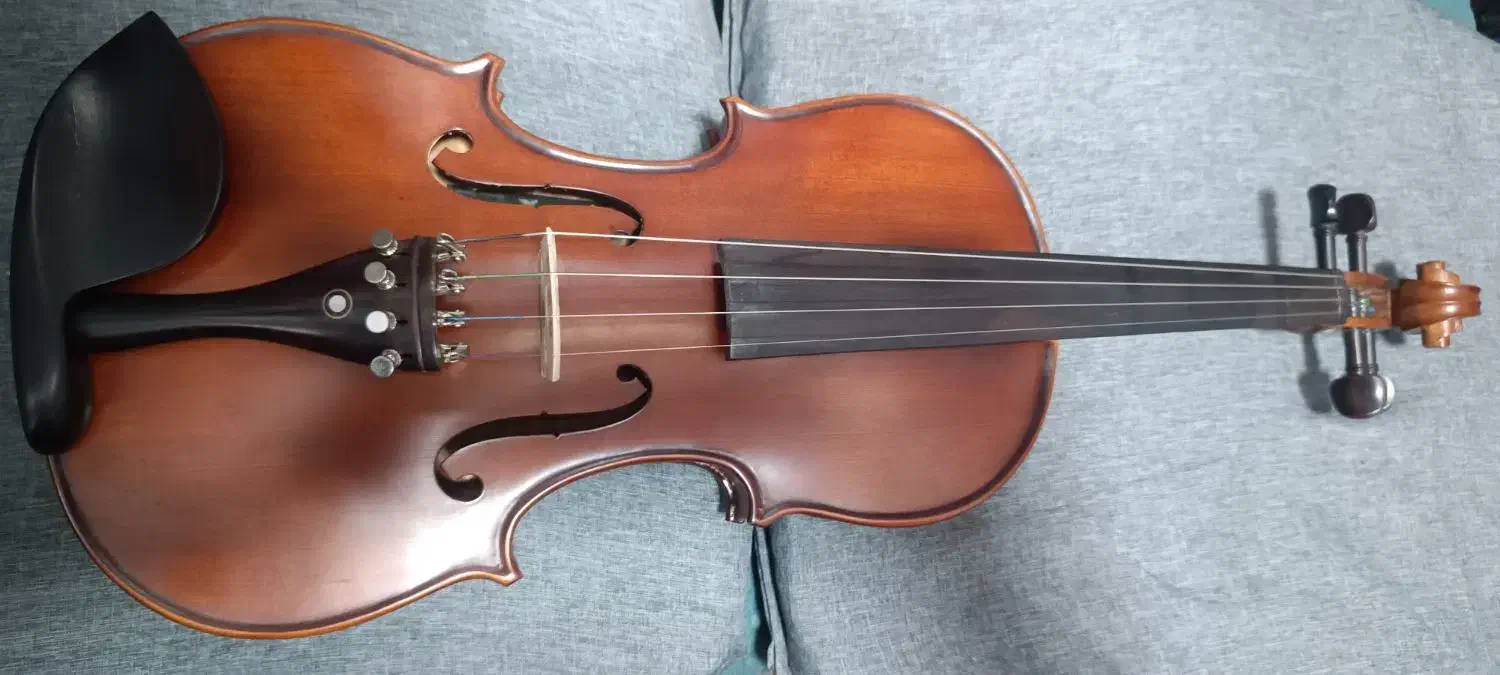 ویولون|ویولن|بندر ماهشهر, |دیوار