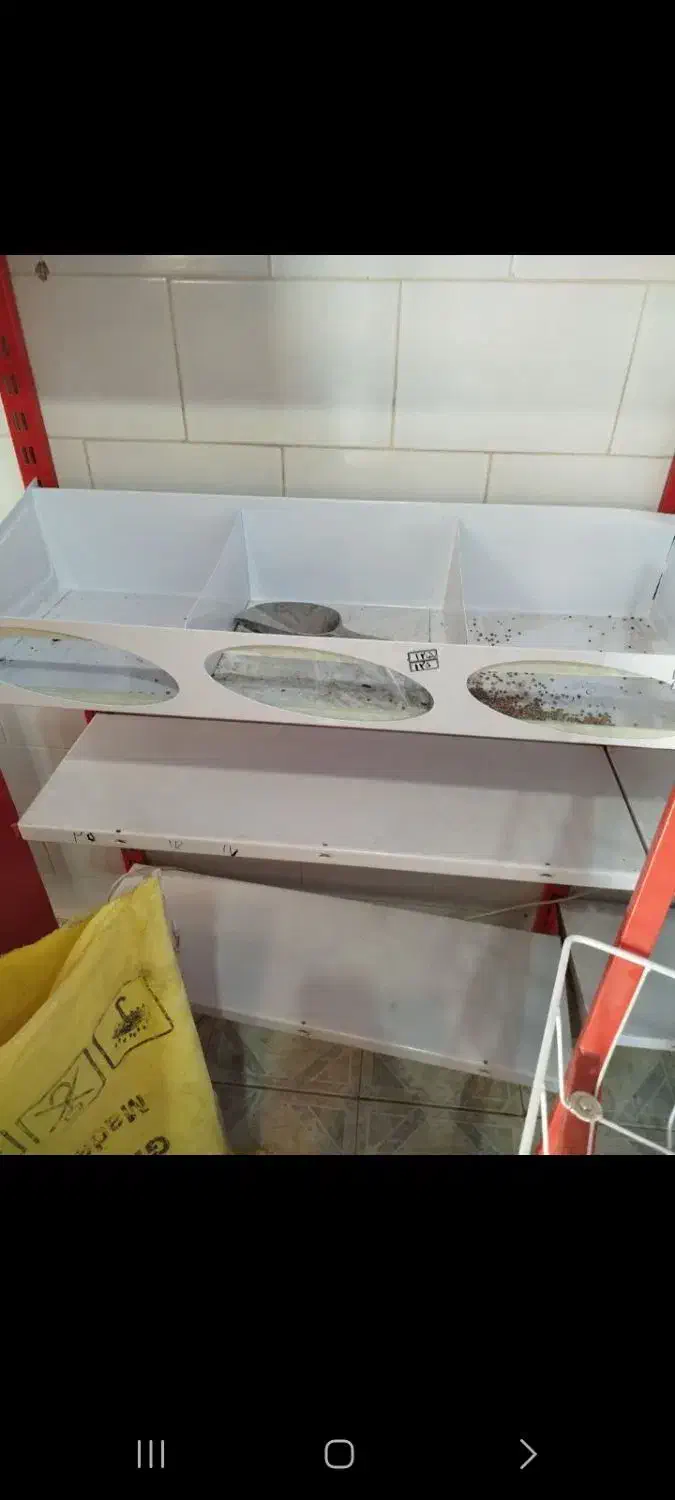 قفسه مغازه|فروشگاه و مغازه|فولادشهر, B4|دیوار