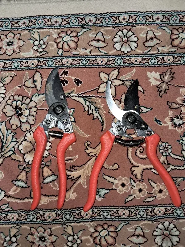 قیچی|لوازم خیاطی و بافتنی|ساوه, |دیوار