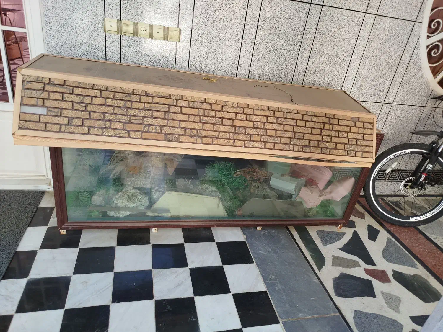 اکواریوم|ماهی|دزفول, |دیوار