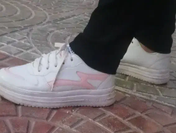 کفش کتونی   نو|کیف، کفش، کمربند|خوی, |دیوار