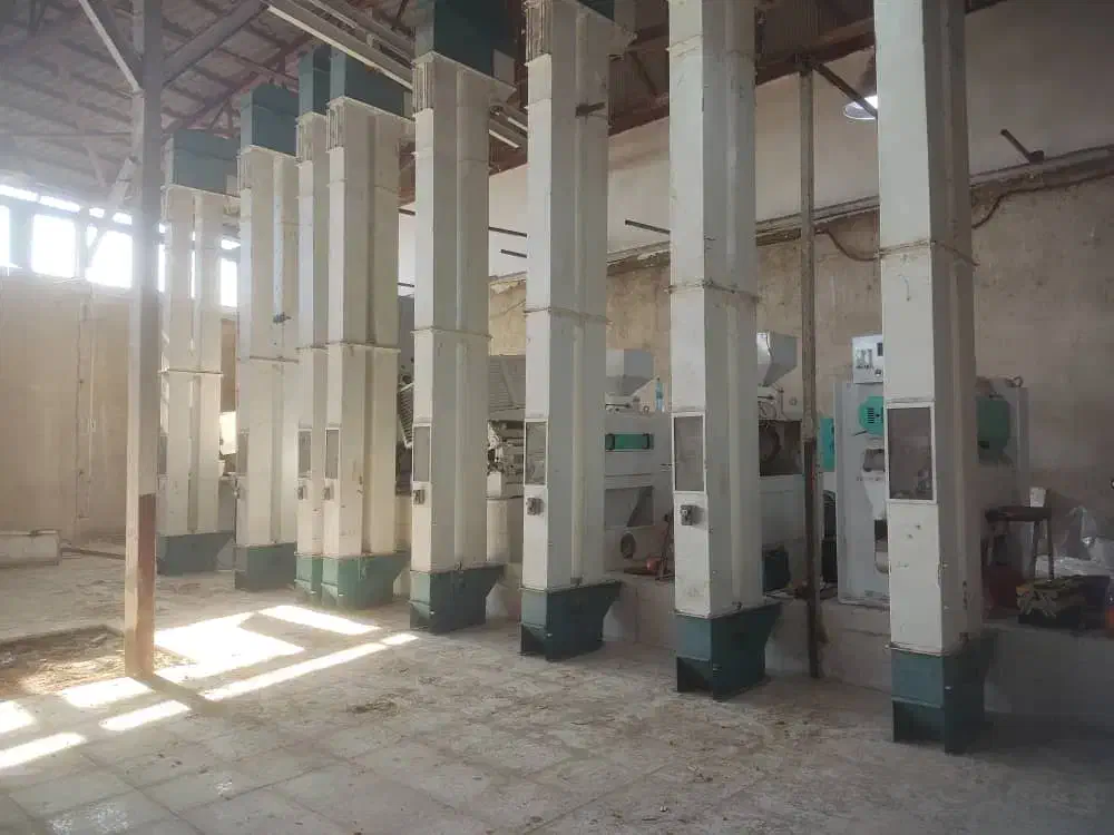 یک کارگر ساده برای نصب دستگاه شالیکوبی مدرن|استخدام صنعتی، فنی، مهندسی|هادی شهر, |دیوار