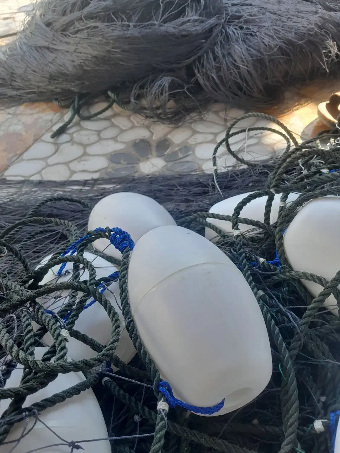 ۴عدد تور لنگری جشی|ماهیگیری|بوشهر, |دیوار