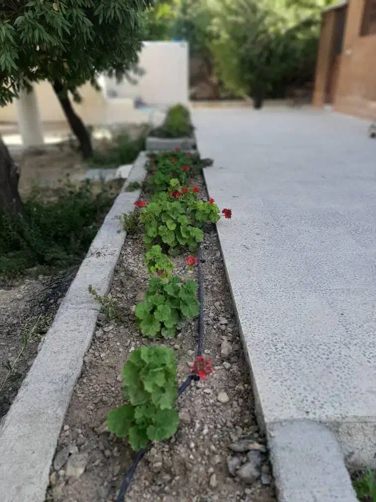 باغ ۴۰۰۰ متری لپویی|فروش زمین و ملک کلنگی|شیراز, انجیره|دیوار