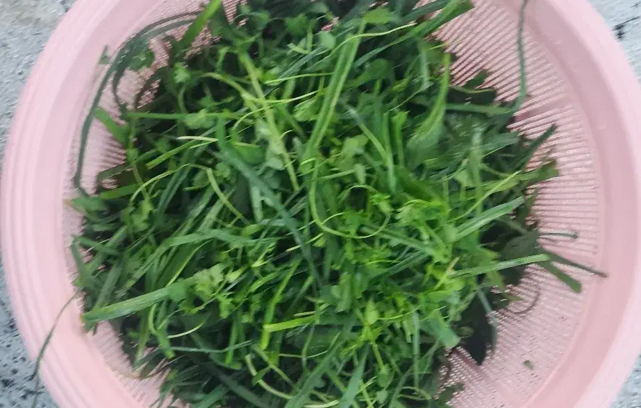 سبزی قورمه سرخ شده|خوردنی و آشامیدنی|قرچک, مهدیه|دیوار