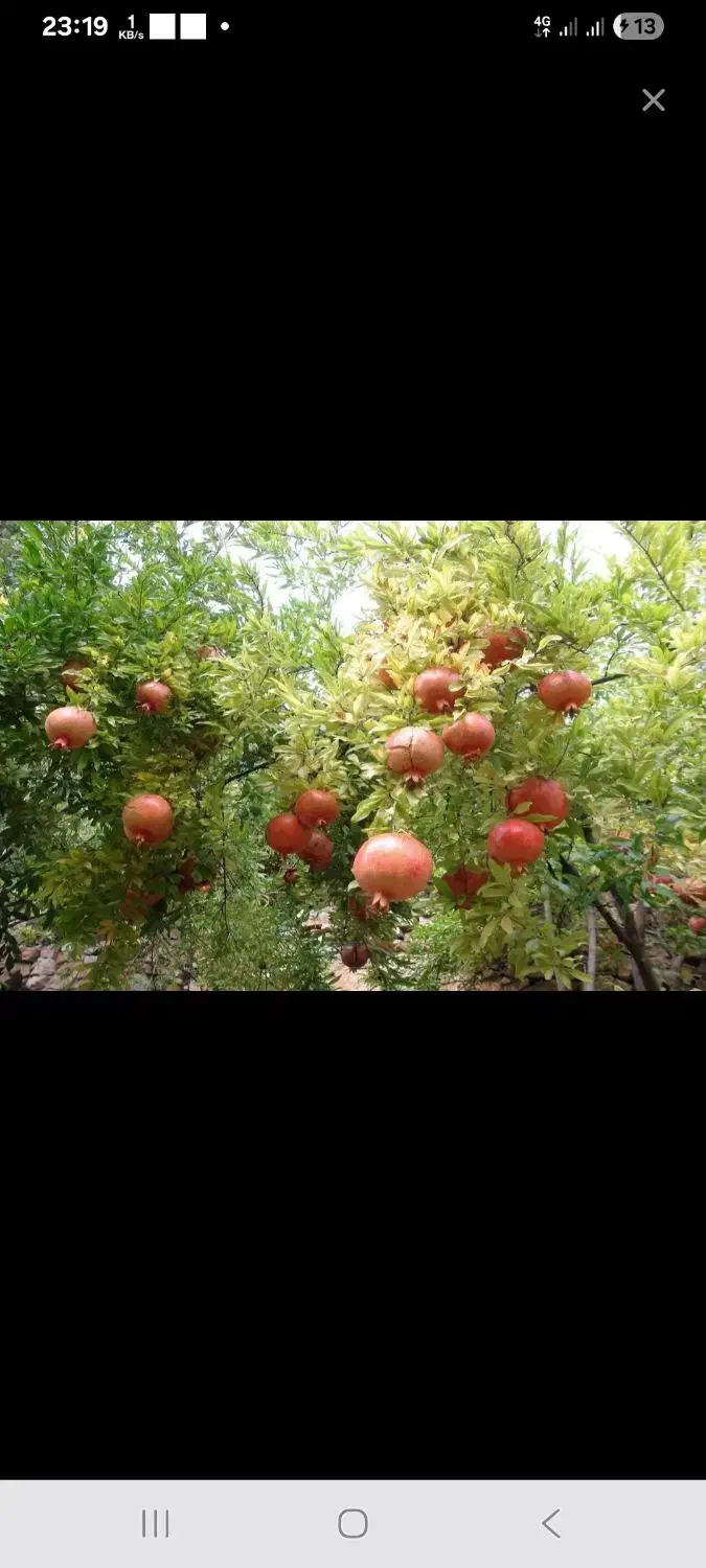 فروش زمین ۵۰۰ متری در ساوه|فروش زمین و ملک کلنگی|قم, قم نو|دیوار