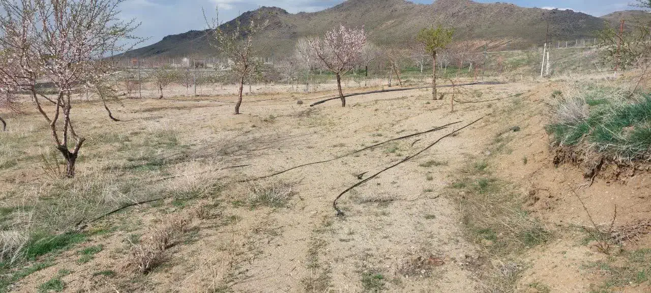 زمین واقع در دره غول روستای نور اباد|فروش زمین و ملک کلنگی|بهار, |دیوار