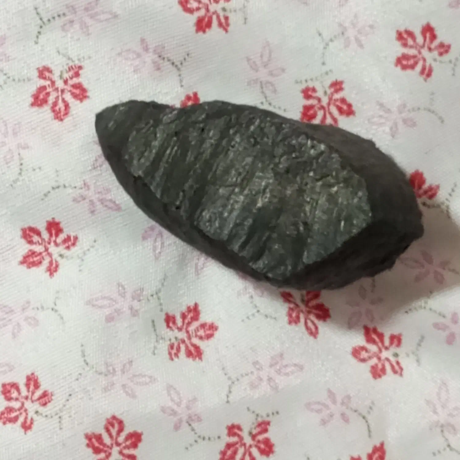 شهاب سنگ|کلکسیون و سرگرمی|سیرجان, |دیوار