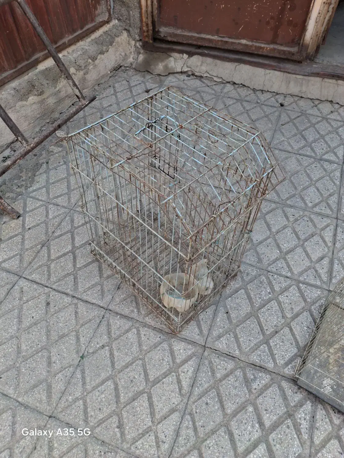 قفس پرنده|لوازم جانبی حیوانات|قلعه نو, |دیوار