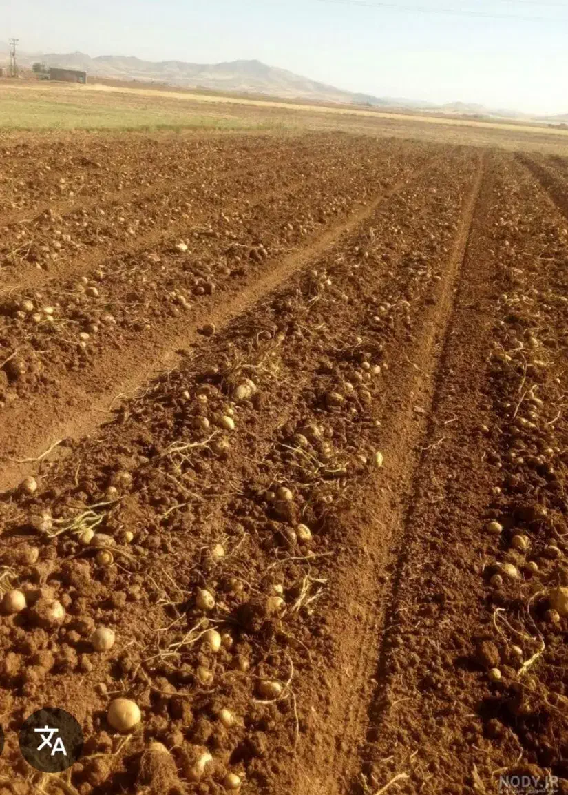 زمین کشاورزی همراه با موتور آب ۴اینچ|فروش دفتر صنعتی، کشاورزی، تجاری|خوانسار, |دیوار