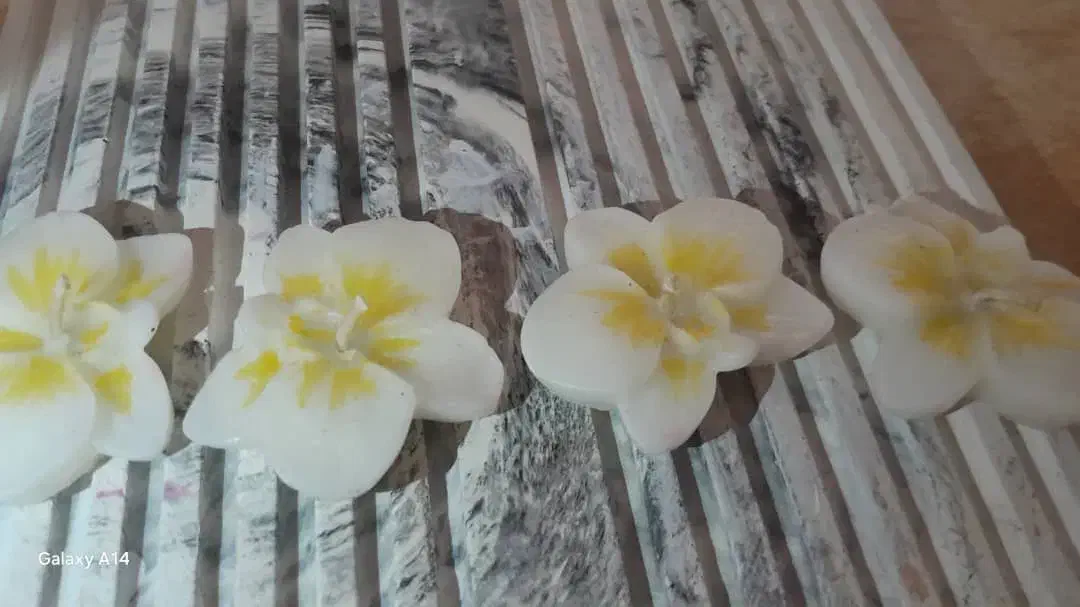 شمع ارکیده|صنایع دستی و سایر لوازم تزئینی|تهران, مجیدیه|دیوار