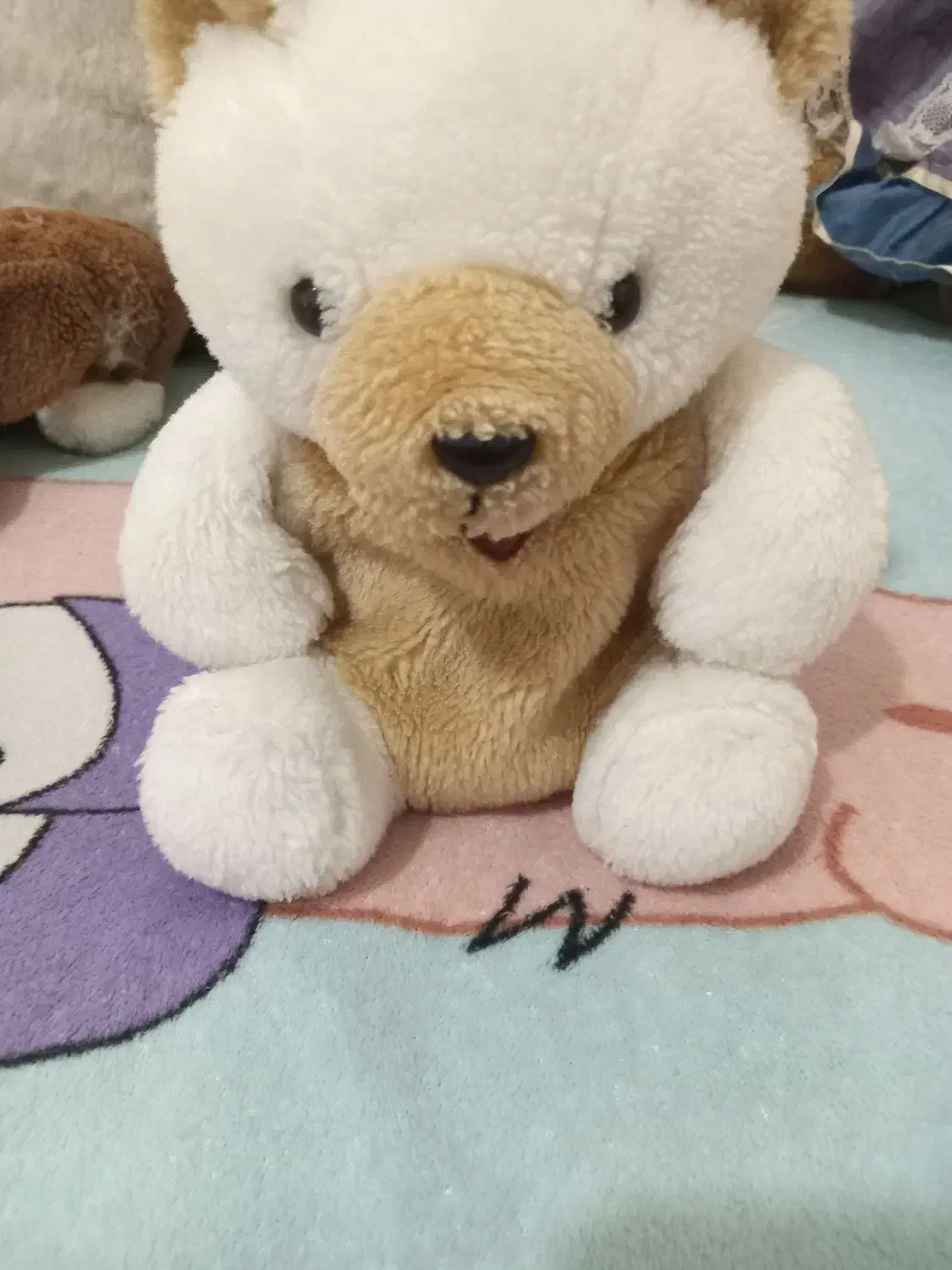 عروسک|اسباب‌بازی بچه|زاهدان, |دیوار