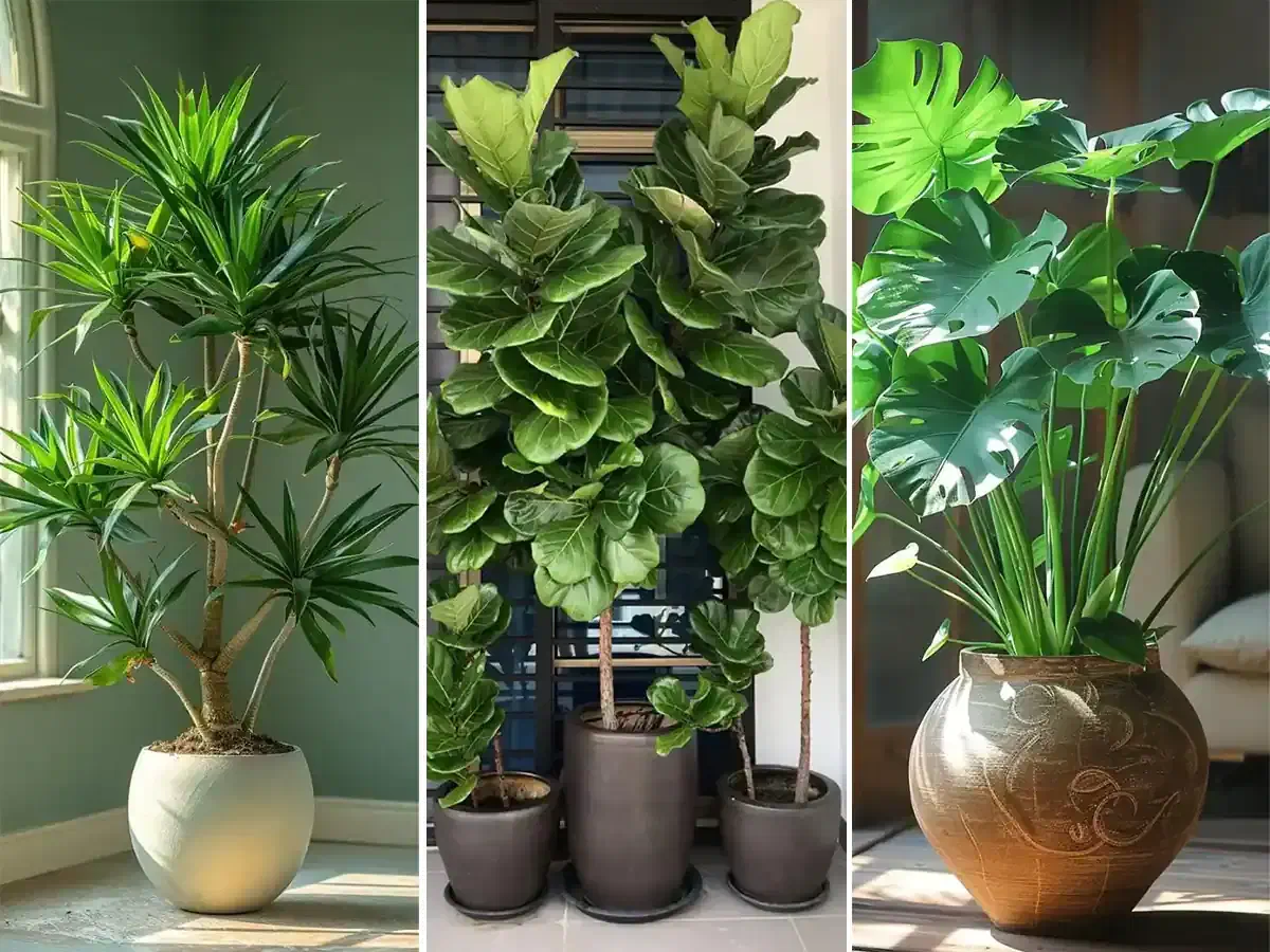 نمایندگی رسمی قرص کود گیاهی/رشدسریع گل وگیاه|گل و گیاه طبیعی|بجنورد, |دیوار