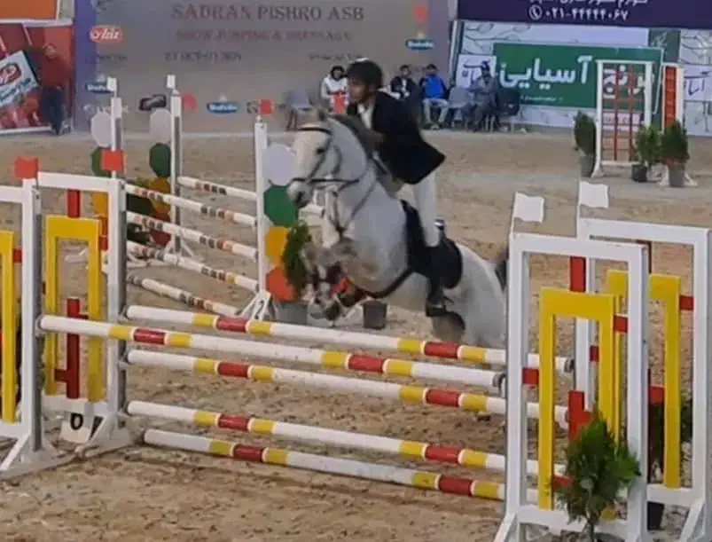 اسب دوسر خارجی پرشی|اسب و تجهیزات اسب‌سواری|باقرشهر, |دیوار