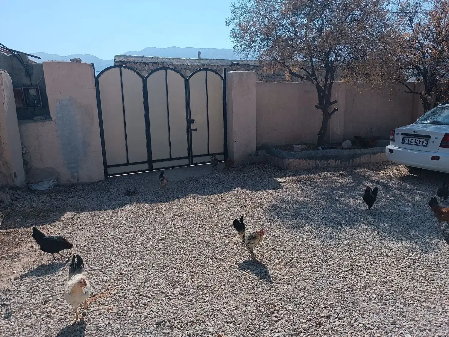 خانه اجاره رهن|اجارهٔ خانه و ویلا|کازرون, |دیوار